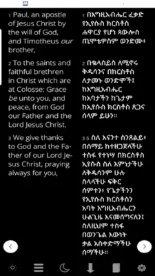 Holy Bible In Amharic Free android App screenshot 4